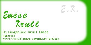 emese krull business card